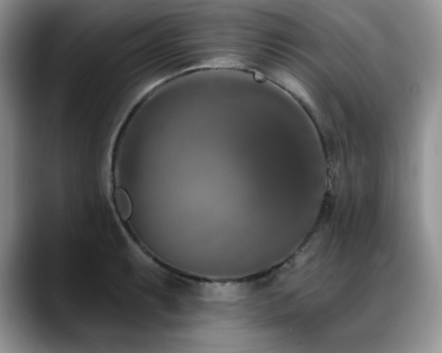X0000088891087200706081243