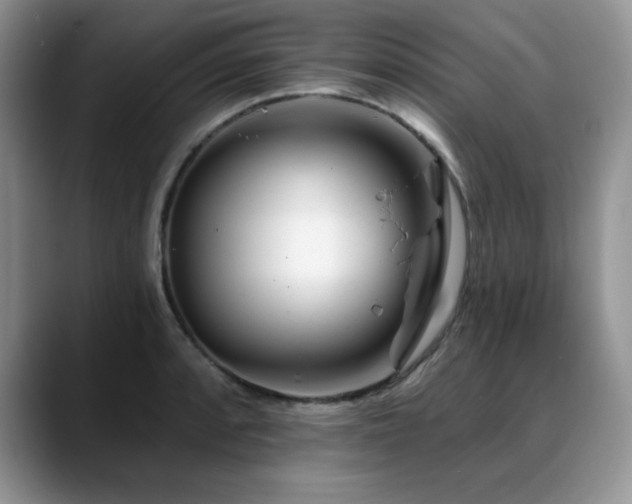 X0000088891088200706081243