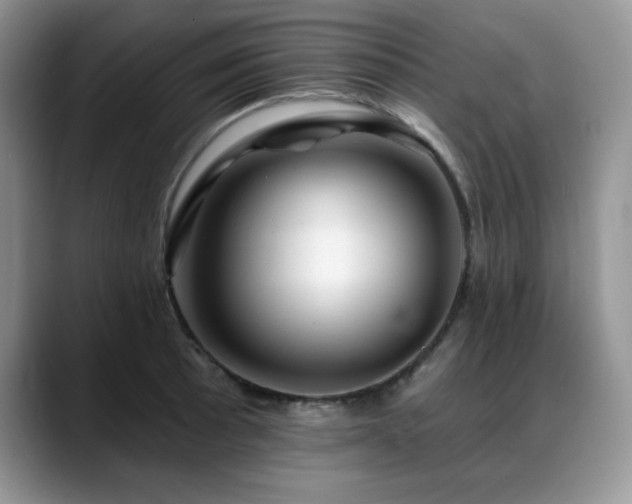 X0000088891089200706081243