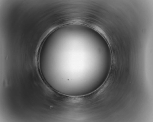 X0000088891090200706081243