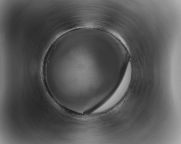 X0000088891091200706081243