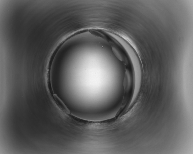 X0000088891093200706081243