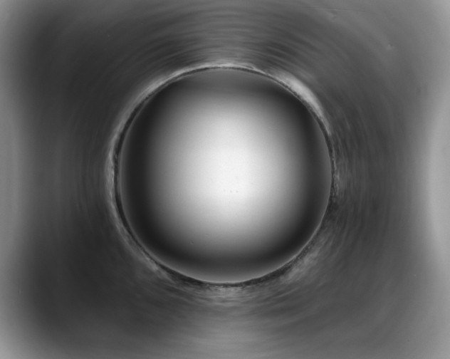 X0000088891096200706081243