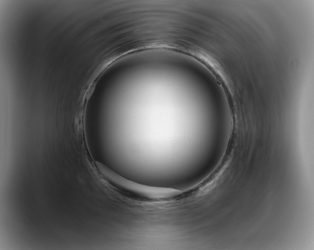 X0000088891097200706081243