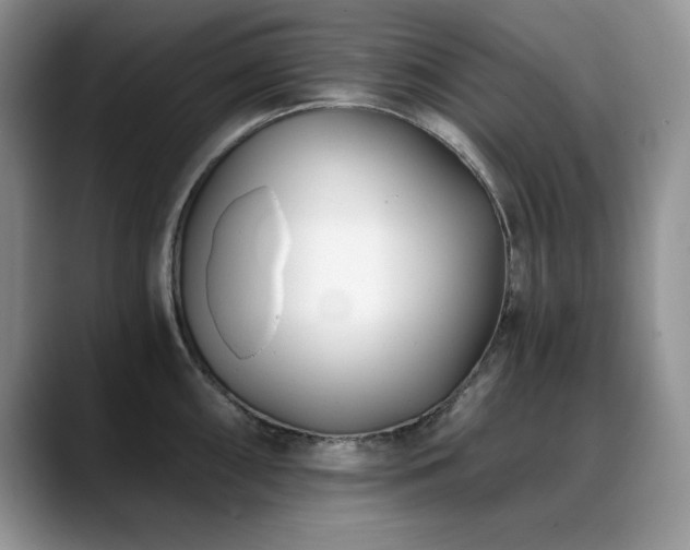 X0000088891098200706081243
