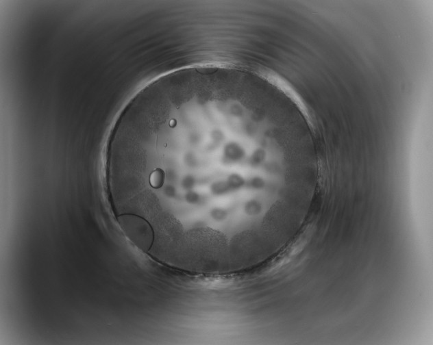 X0000088891099200706081243