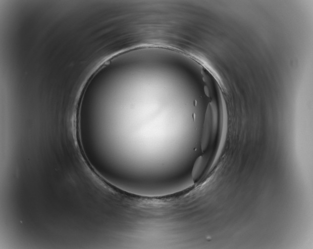X0000088891100200706081243