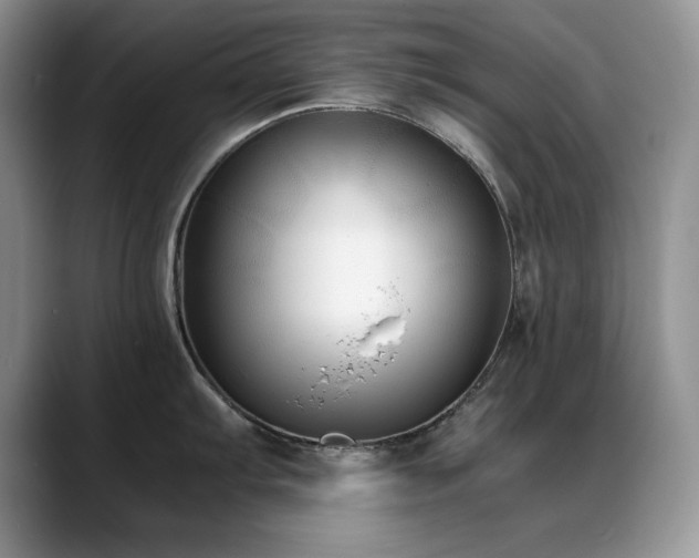 X0000088891103200706081243