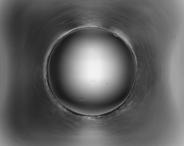 X0000088891104200706081243