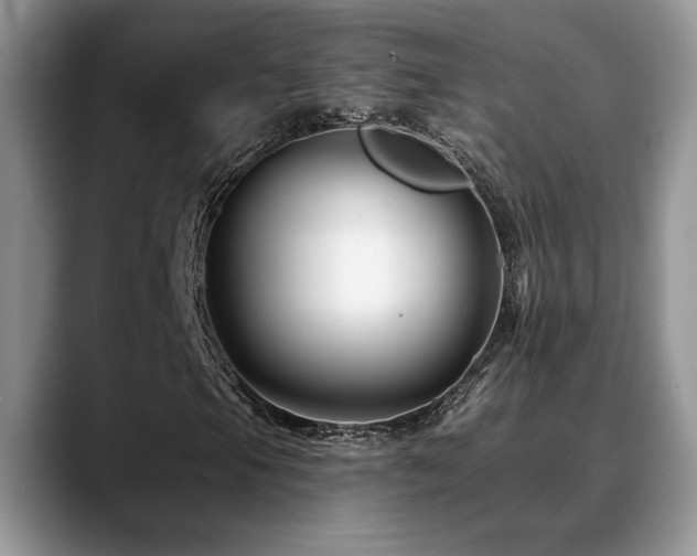 X0000088891105200706081243