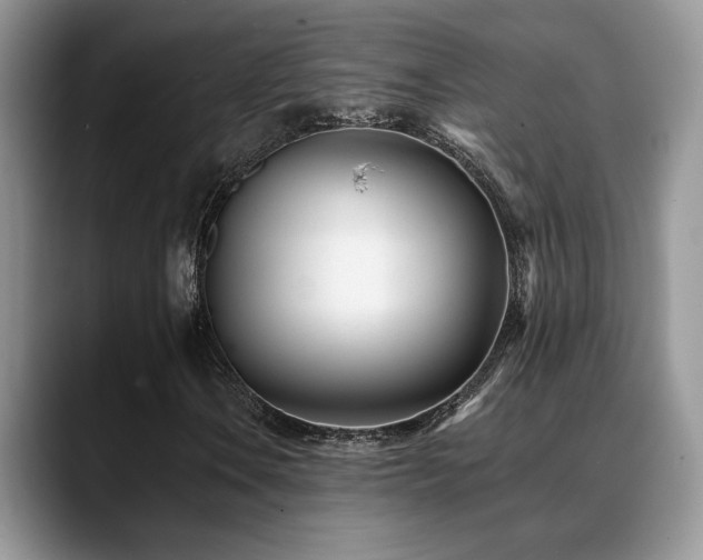 X0000088891106200706081243