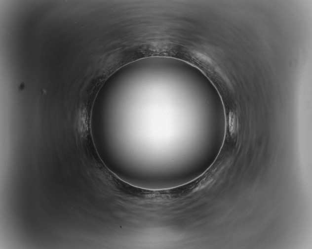 X0000088891107200706081243
