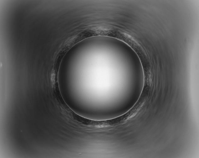 X0000088891108200706081243