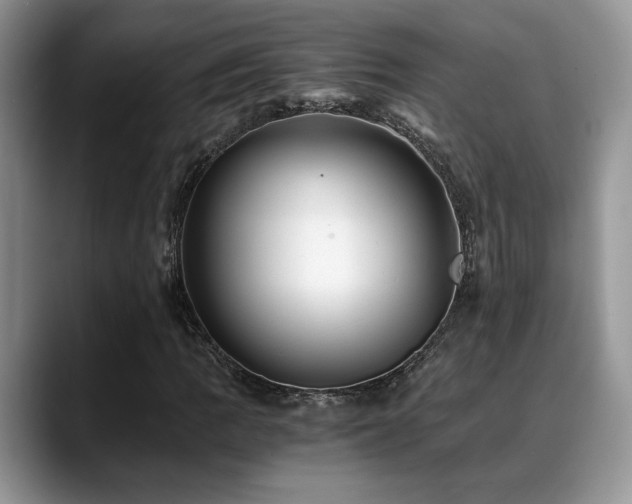 X0000088891109200706081243