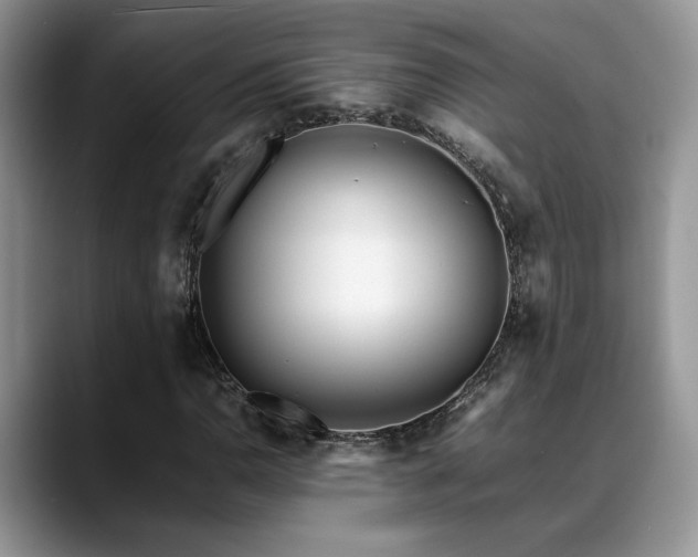 X0000088891110200706081243