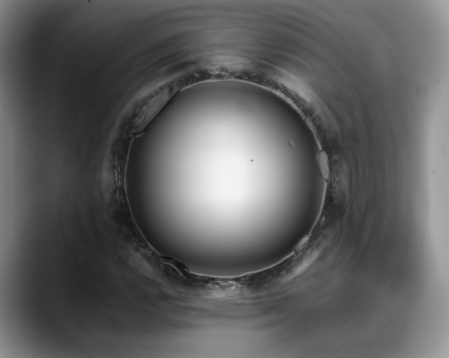 X0000088891112200706081243
