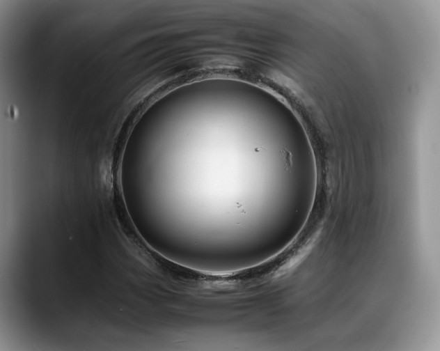 X0000088891113200706081243
