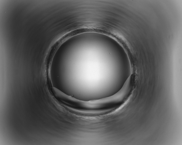X0000088891114200706081243