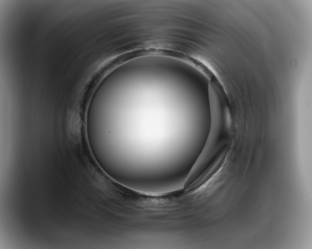 X0000088891115200706081243