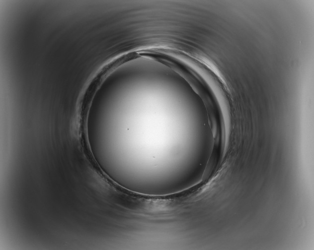 X0000088891116200706081243