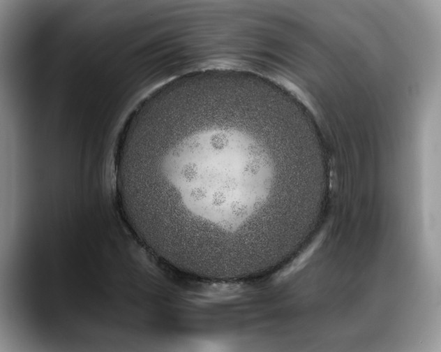 X0000088891117200706081243