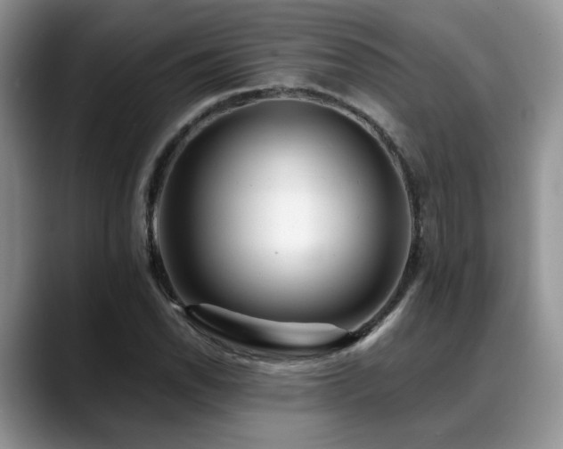 X0000088891118200706081243