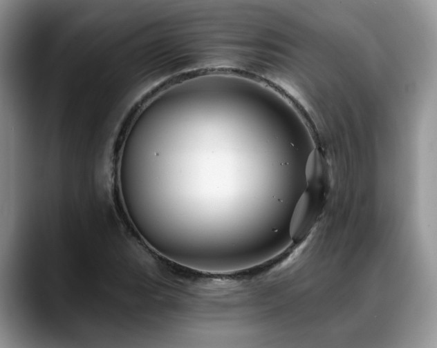 X0000088891119200706081243