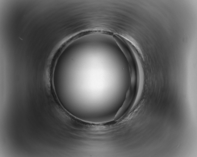 X0000088891120200706081243