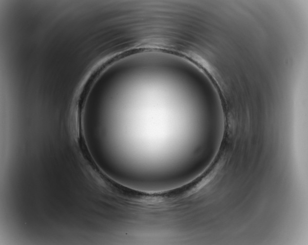 X0000088891123200706081243
