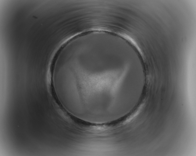 X0000088891125200706081243