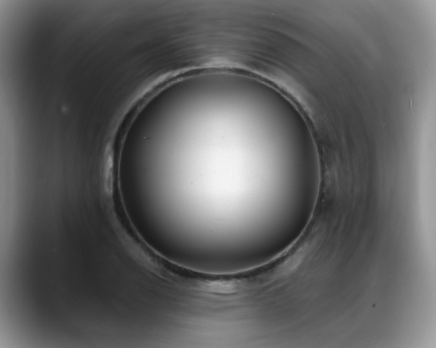 X0000088891126200706081243