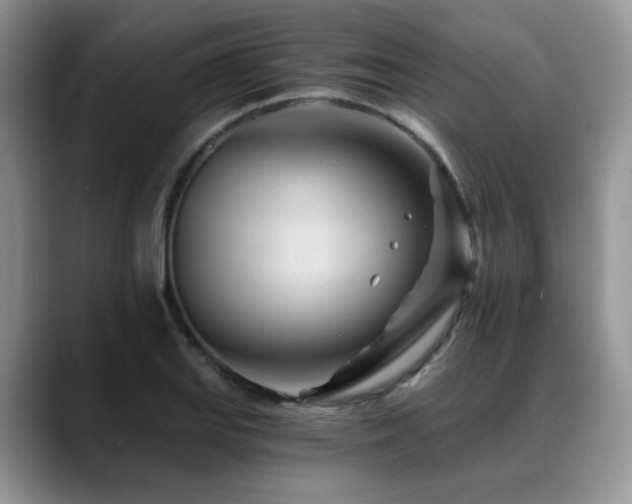 X0000088891127200706081243