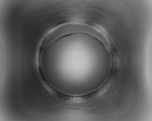 X0000088891128200706081243