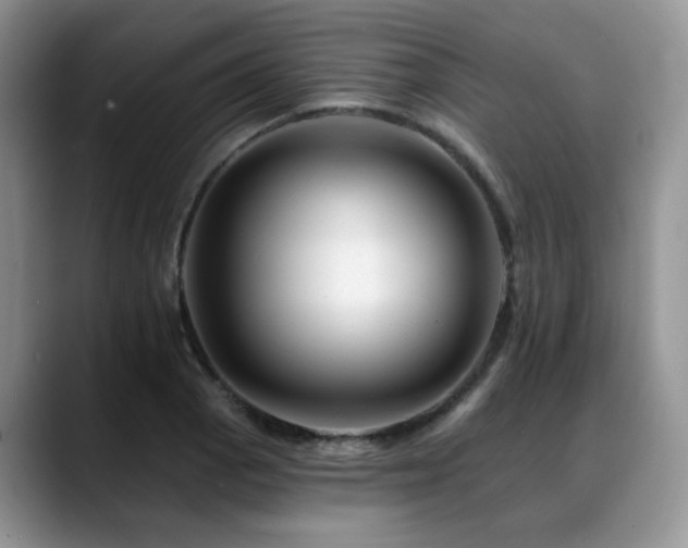 X0000088891129200706081243