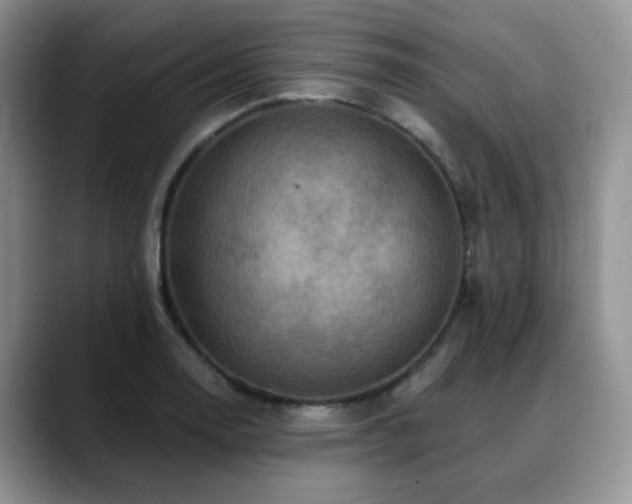 X0000088891130200706081243