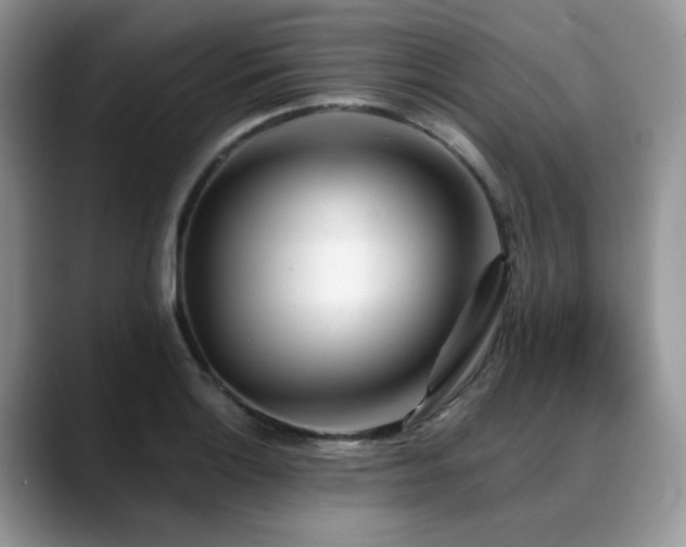 X0000088891132200706081243