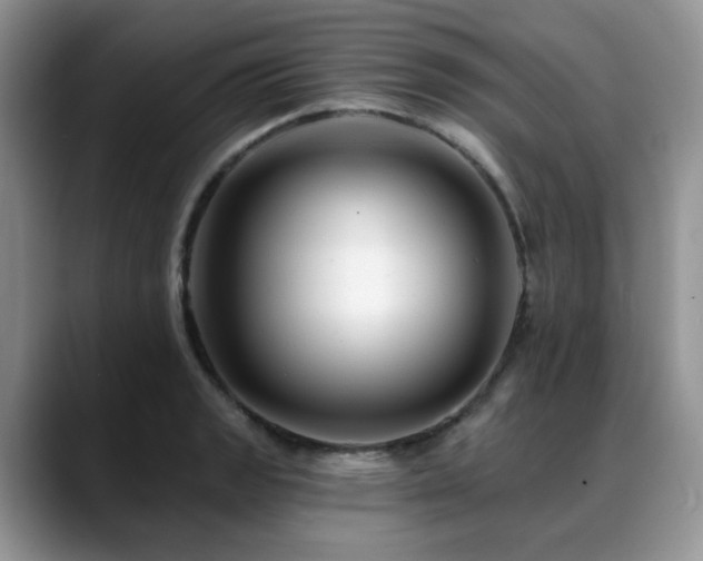X0000088891133200706081243