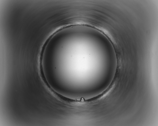 X0000088891134200706081243