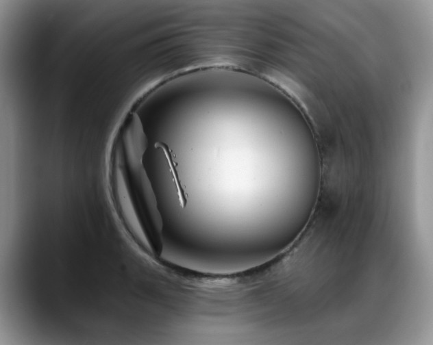 X0000088891135200706081243