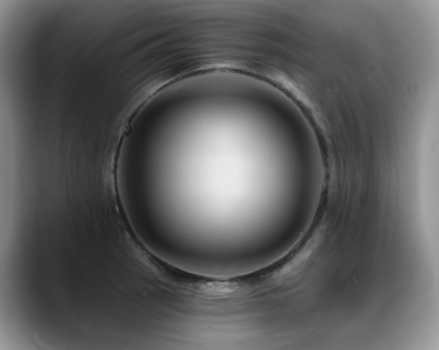 X0000088891137200706081243