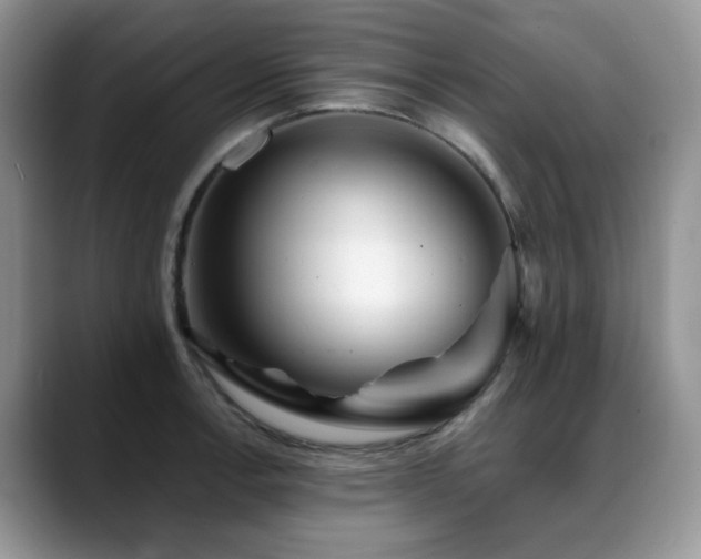 X0000088891138200706081243
