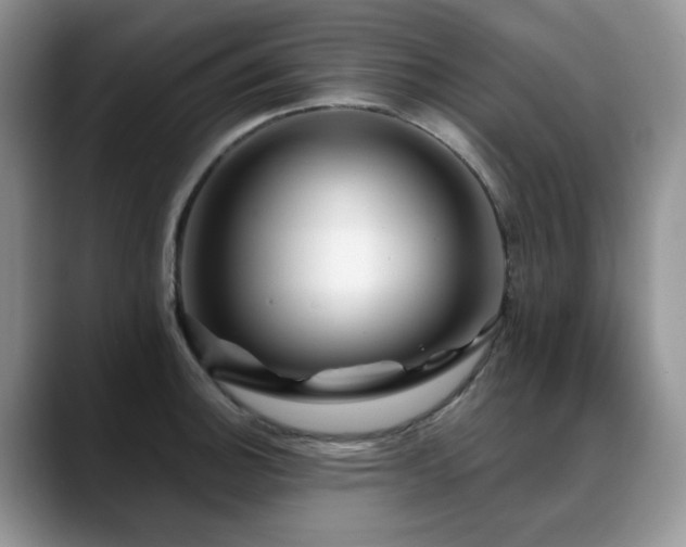 X0000088891140200706081243