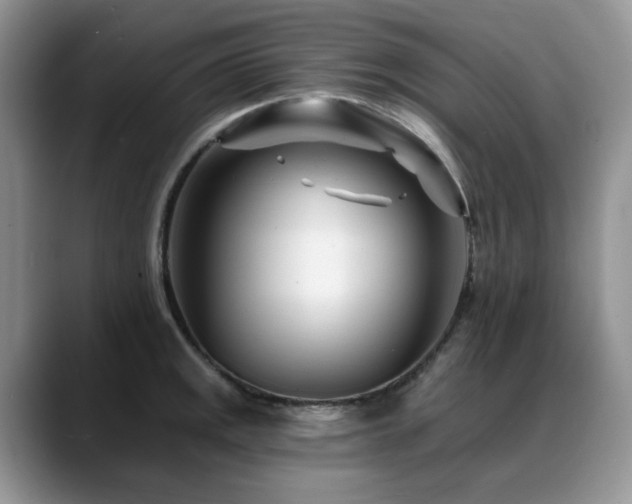 X0000088891141200706081243