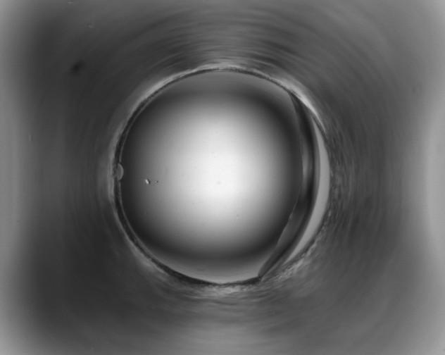 X0000088891143200706081243