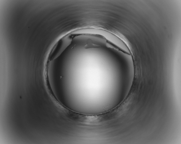 X0000088891144200706081243