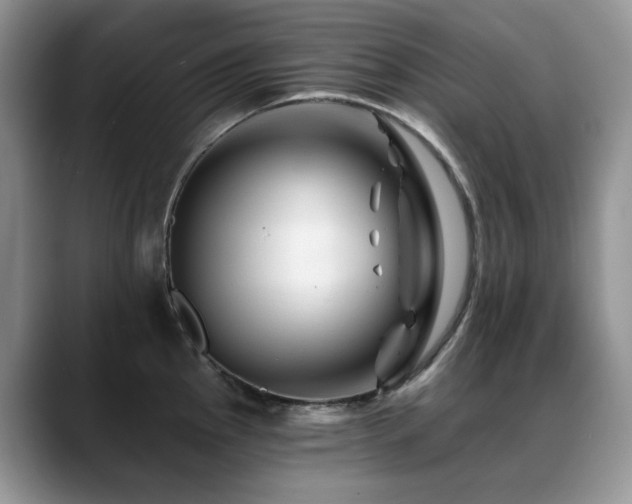 X0000088891145200706081243
