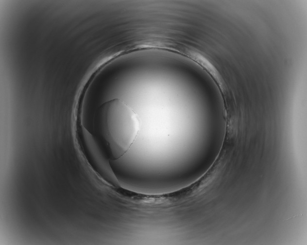 X0000088891146200706081243