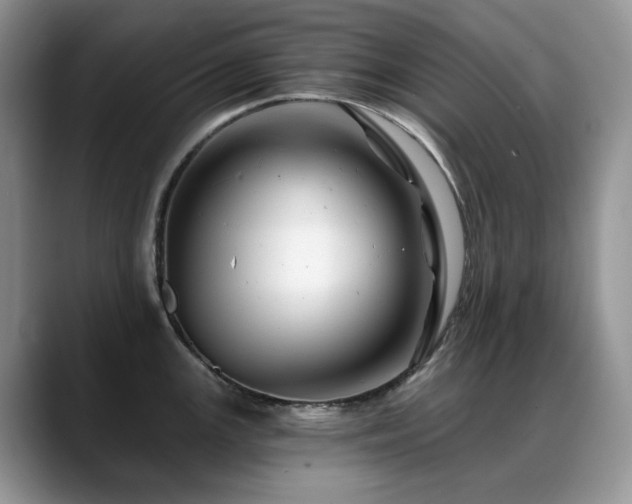 X0000088891147200706081243
