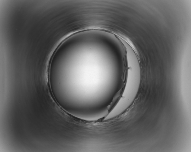 X0000088891148200706081243