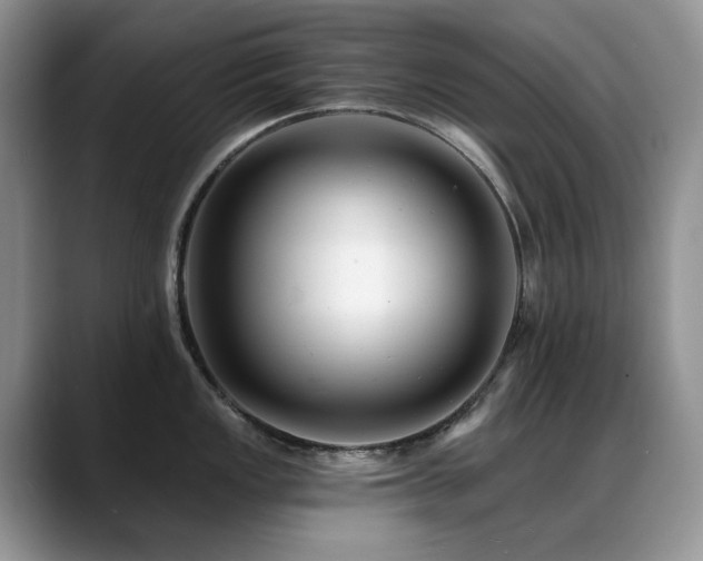 X0000088891149200706081243
